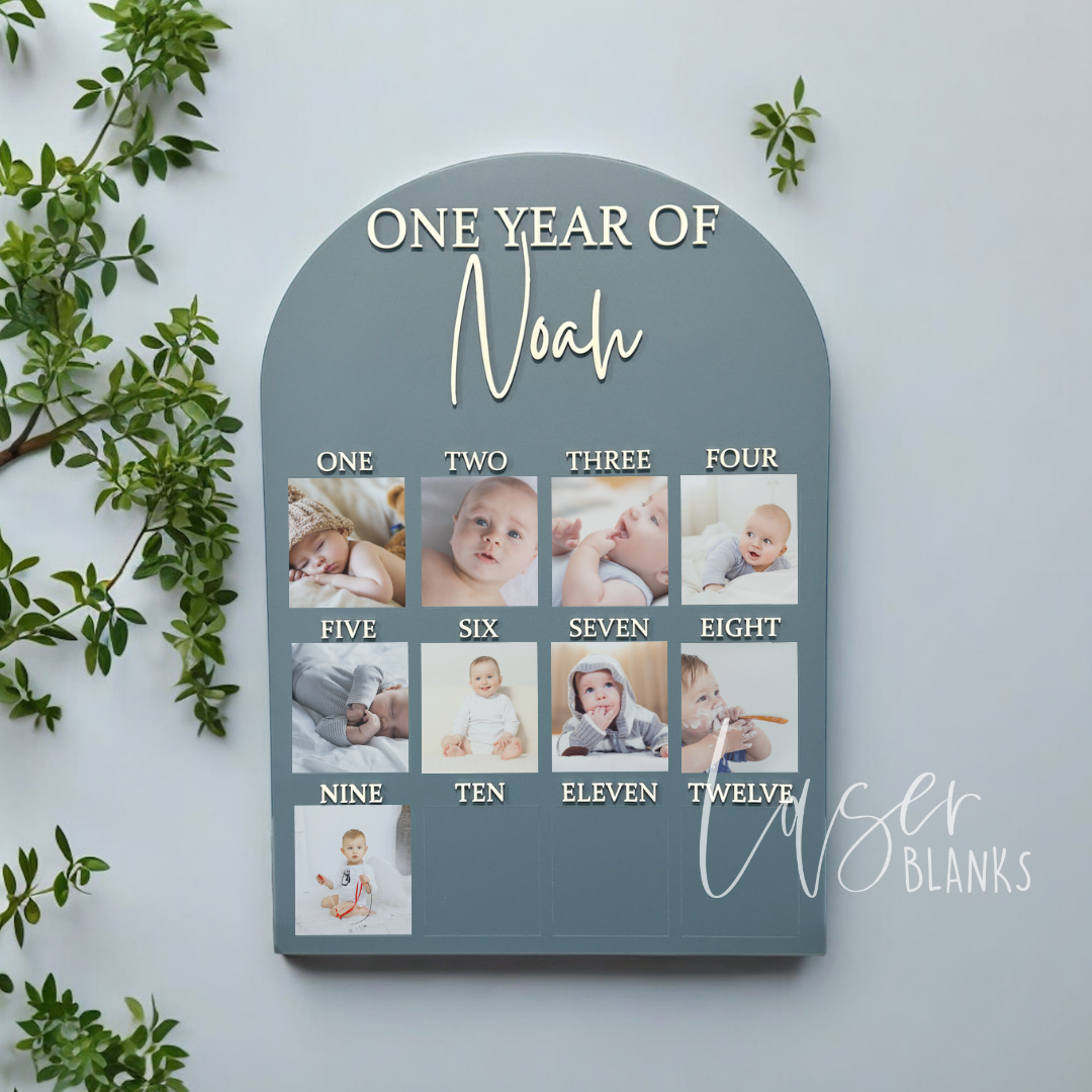 My First Year photo board with monthly baby photos