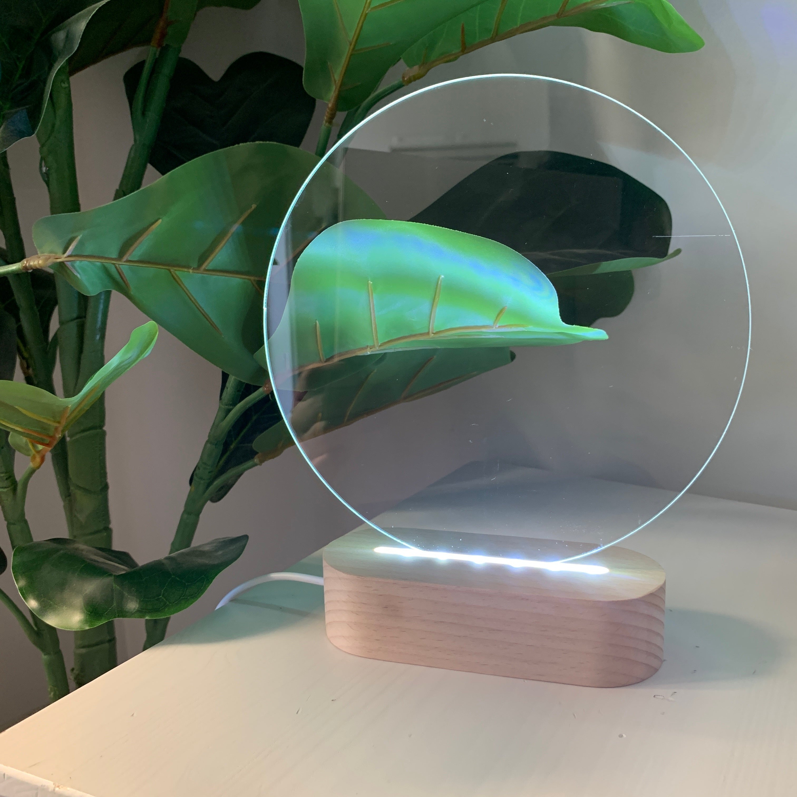 Circle LED Light Insert | Panel [two sizes]